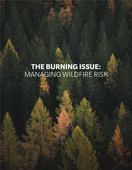 THE BURNING ISSUE: MANAGING WILDFIRE RISK After the Wildfires of 2017 and 2018, Some Have Asked Whether We Have Entered a Fiery New Normal