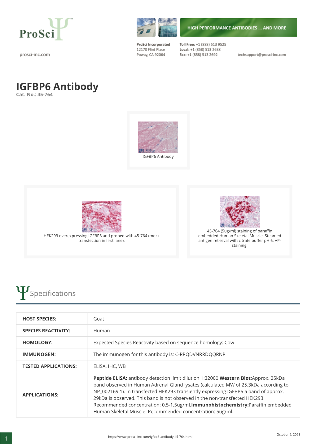 IGFBP6 Antibody Cat