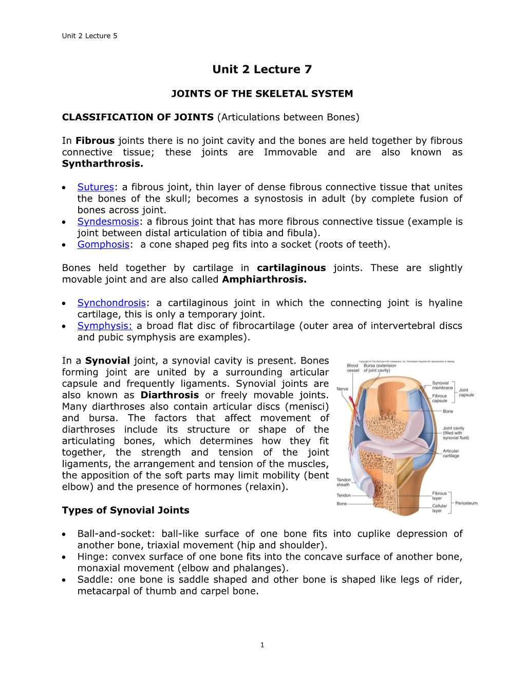 Joints of the Skeletal System