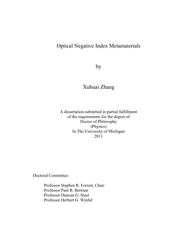 Optical Negative Index Metamaterials by Xuhuai Zhang
