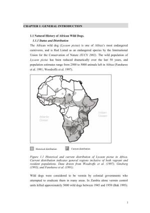 CHAPTER 1: GENERAL INTRODUCTION 1.1 Natural History of African Wild Dogs. 1.1.1 Status and Distribution the African Wild Dog