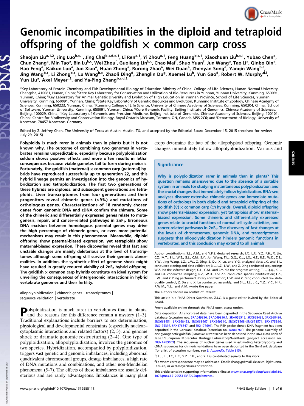 Genomic Incompatibilities in the Diploid and Tetraploid Offspring of the Goldfish × Common Carp Cross