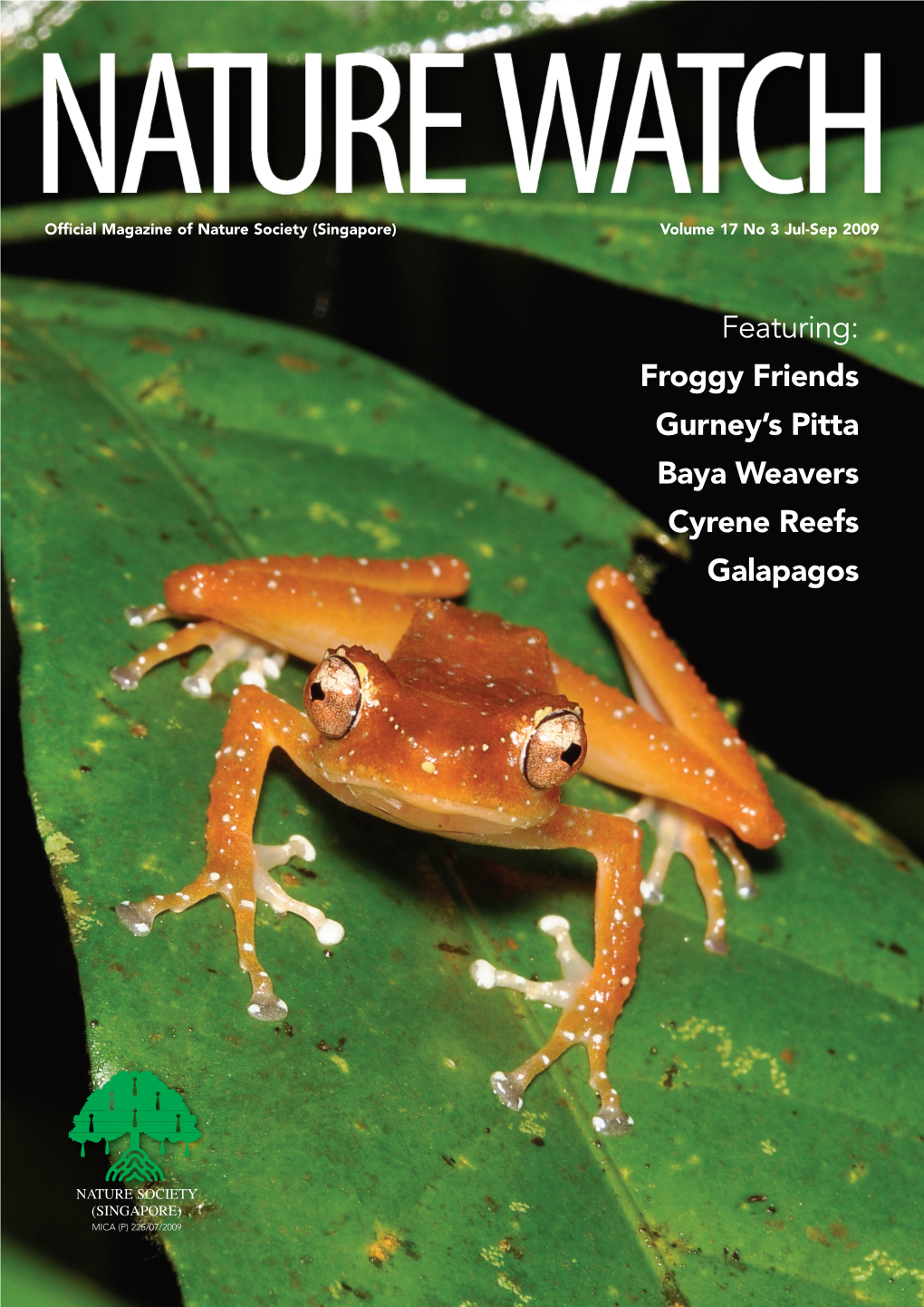 Featuring: Froggy Friends Gurney's Pitta Baya Weavers Cyrene Reefs