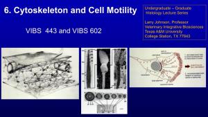 6. Cytoskeleton and Cell Motility Undergraduate – Graduate