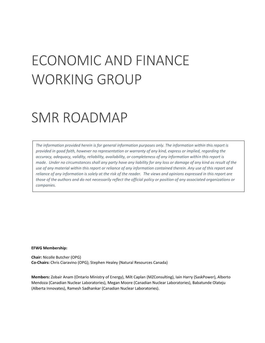 Economic and Finance Working Group Smr Roadmap