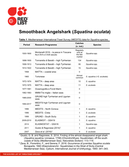 Smoothback Angelshark (Squatina Oculata)