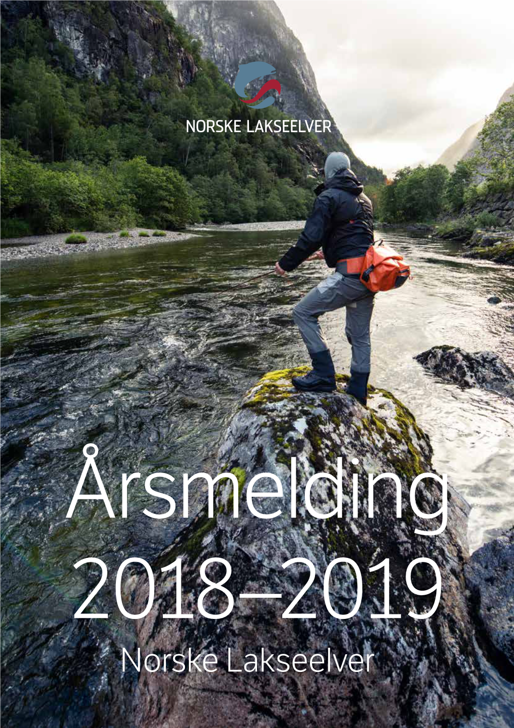 Årsmelding 2020