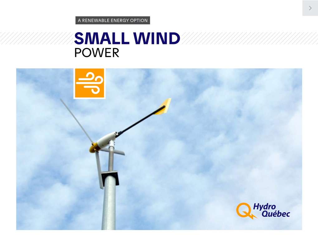 Renewable Energy Option. Small Wind Power
