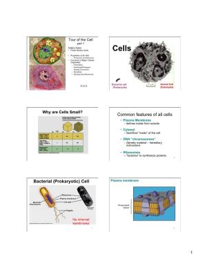 Common Features of All Cells Bacterial