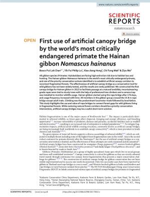 First Use of Artificial Canopy Bridge by the World's Most Critically Endangered Primate the Hainan Gibbon Nomascus Hainanus