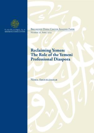 Reclaiming Yemen: the Role of the Yemeni Professional Diaspora