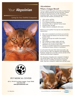 Abyssinians: What a Unique Breed! PET MEDICAL CENTER