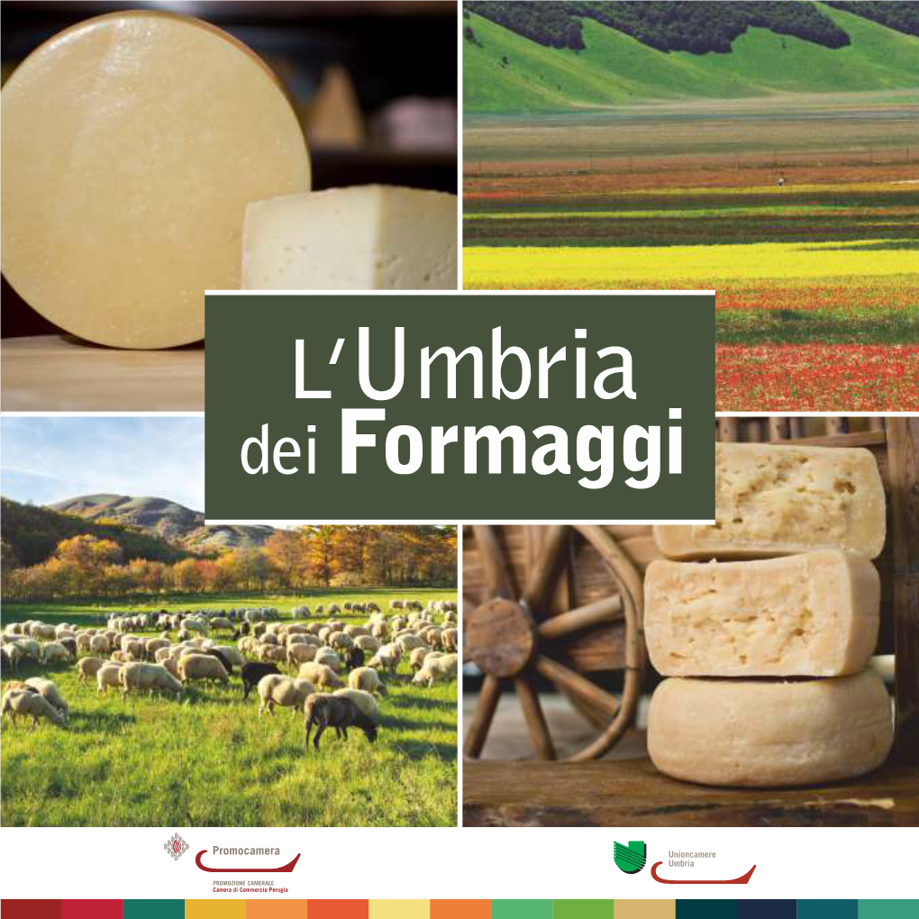 L'umbria Dei Formaggi