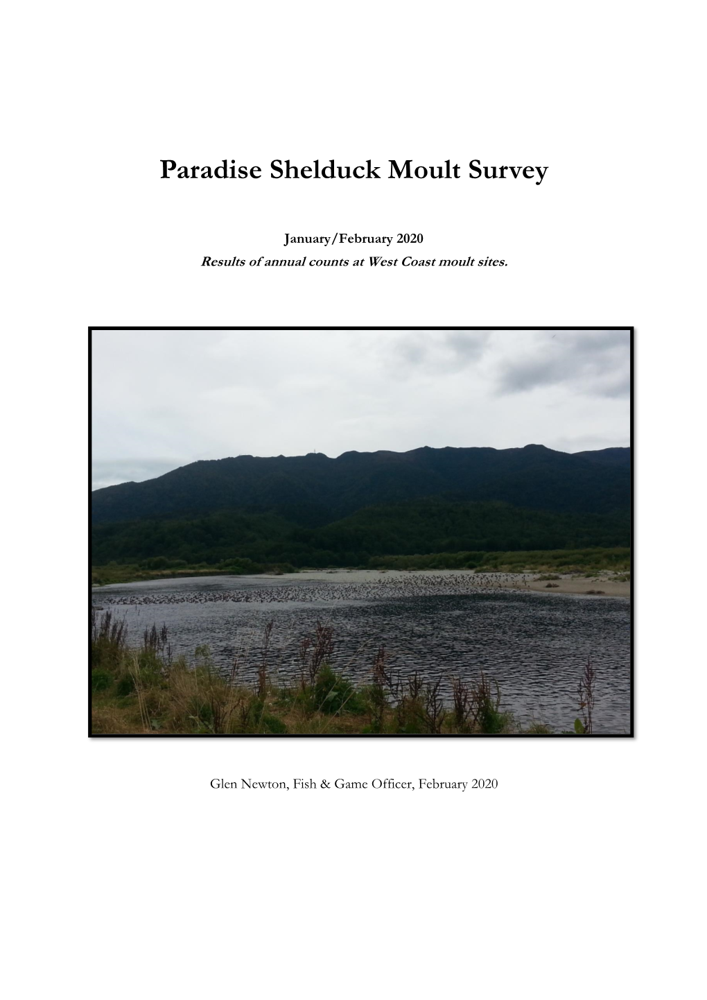 Paradise Shelduck Moult Survey