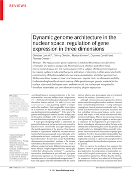 Dynamic Genome Architecture in the Nuclear Space: Regulation of Gene Expression in Three Dimensions