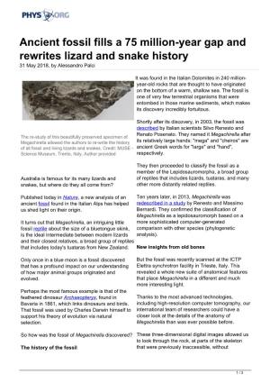 Ancient Fossil Fills a 75 Million-Year Gap and Rewrites Lizard and Snake History 31 May 2018, by Alessandro Palci