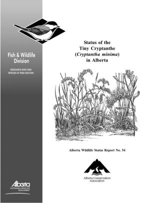 Status of the Tiny Cryptanthe (Cryptantha Minima) in Alberta