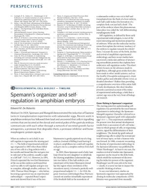 Spemann's Organizer and Self- Regulation in Amphibian Embryos