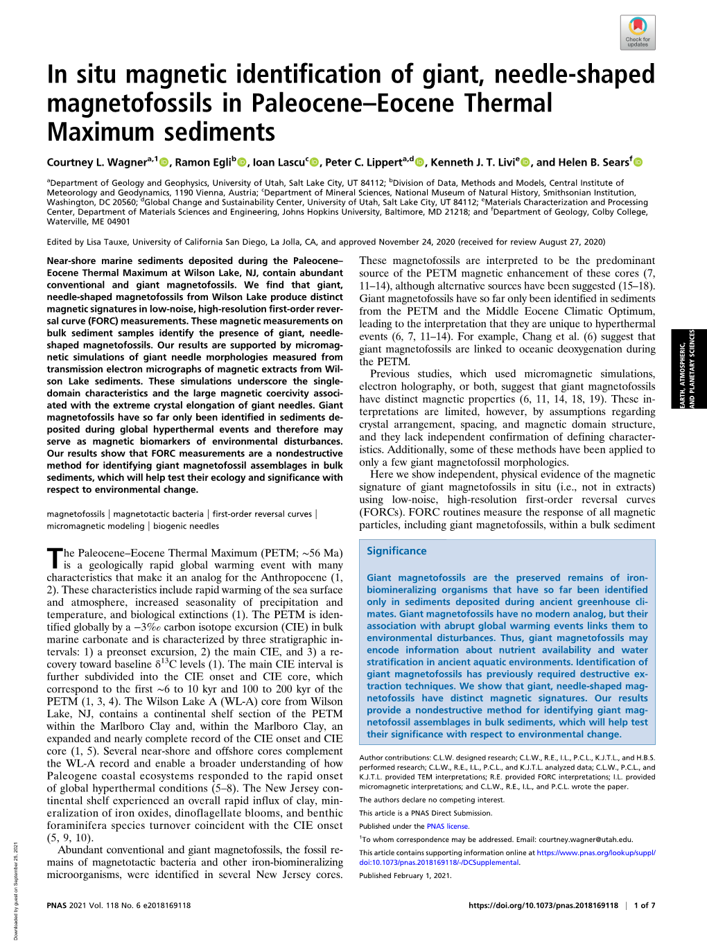 In Situ Magnetic Identification of Giant, Needle-Shaped Magnetofossils in Paleocene–Eocene Thermal Maximum Sediments