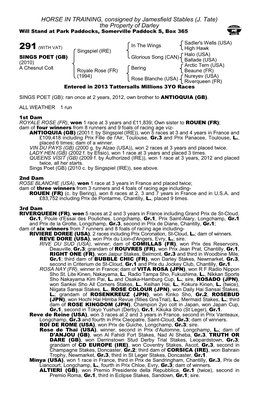 J. Tate) the Property of Darley Will Stand at Park Paddocks, Somerville Paddock S, Box 365