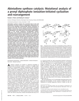 Abietadiene Synthase Catalysis: Mutational Analysis of a Prenyl Diphosphate Ionization-Initiated Cyclization and Rearrangement