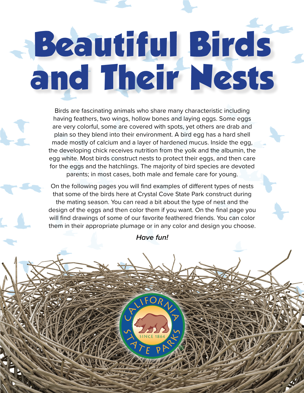 Bird Nests and Eggs