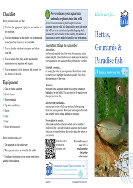24 Bettas, Gouramis & Paradise Fish