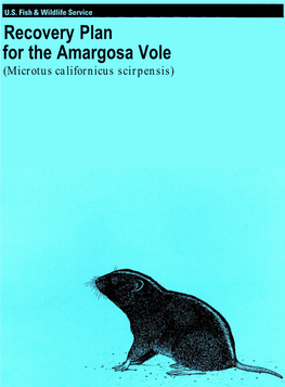 Recovery Plan for the Amargosa Vole
