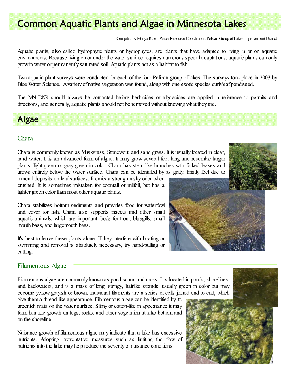 Common Aquatic Plants and Algae in Minnesota Lakes DocsLib