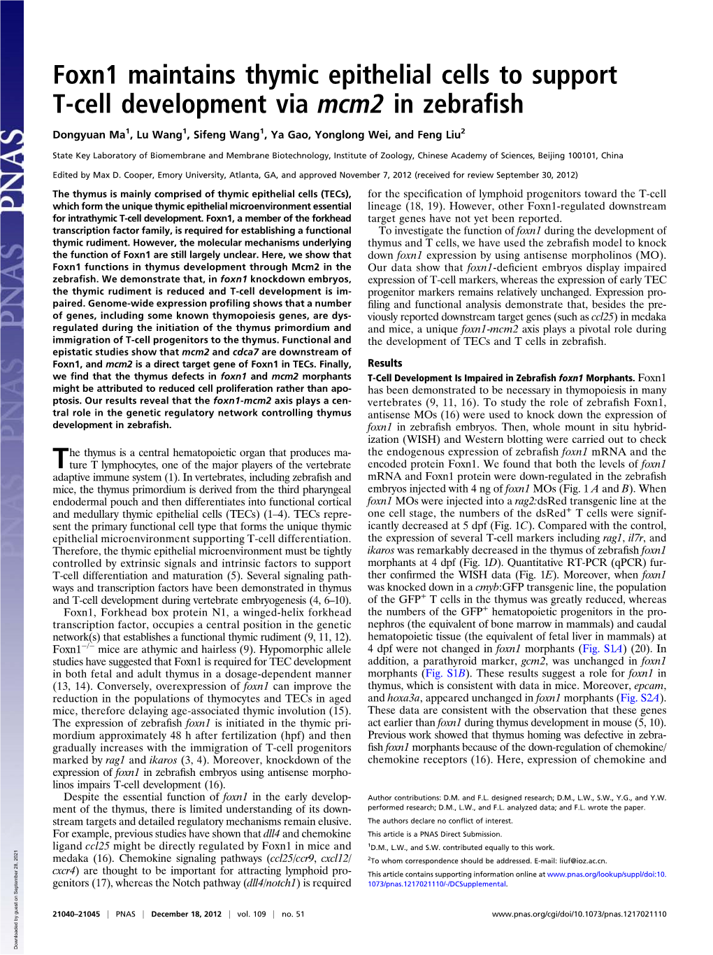 Foxn1 Maintains Thymic Epithelial Cells to Support T-Cell Development Via Mcm2 in Zebra Fish