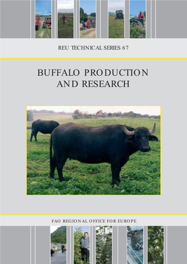 Buffalo Production and Research