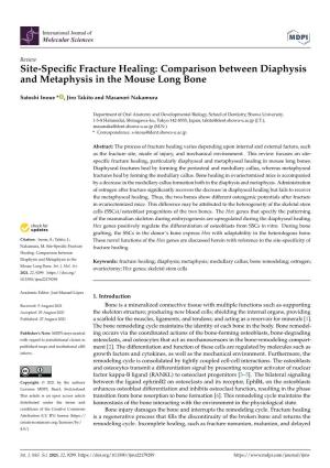 Site-Specific Fracture Healing: Comparison Between Diaphysis and Metaphysis in the Mouse Long Bone