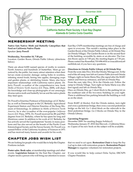 The Bay Leaf