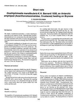 Short Note Gnathiphimedia Mandibularis K.H. Barnard 1930, an Antarctic Amphipod (Acanthonotozomatidae, Crustacea) Feeding on Bryozoa