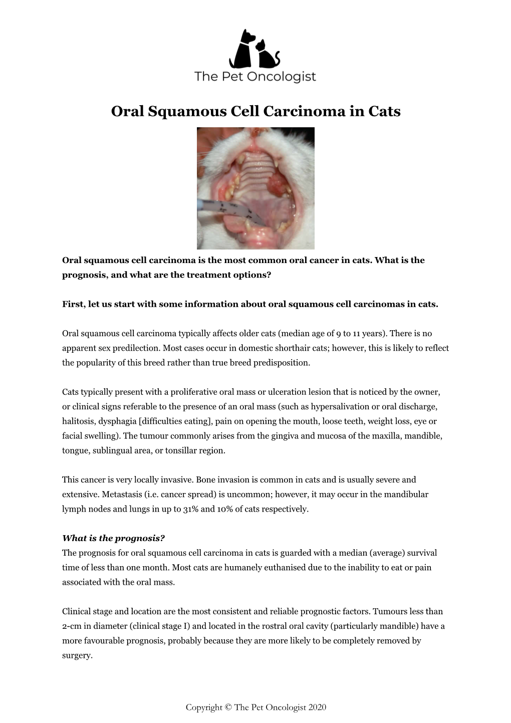 Oral Squamous Cell Carcinoma in Cats