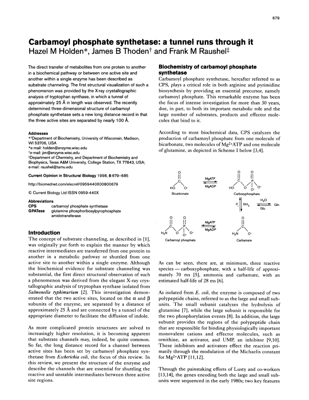 Carbamoyl Phosphate Synthetase: a Tunnel Runs Through It Hazel M Holden*, James B Thodent and Frank M Raushel