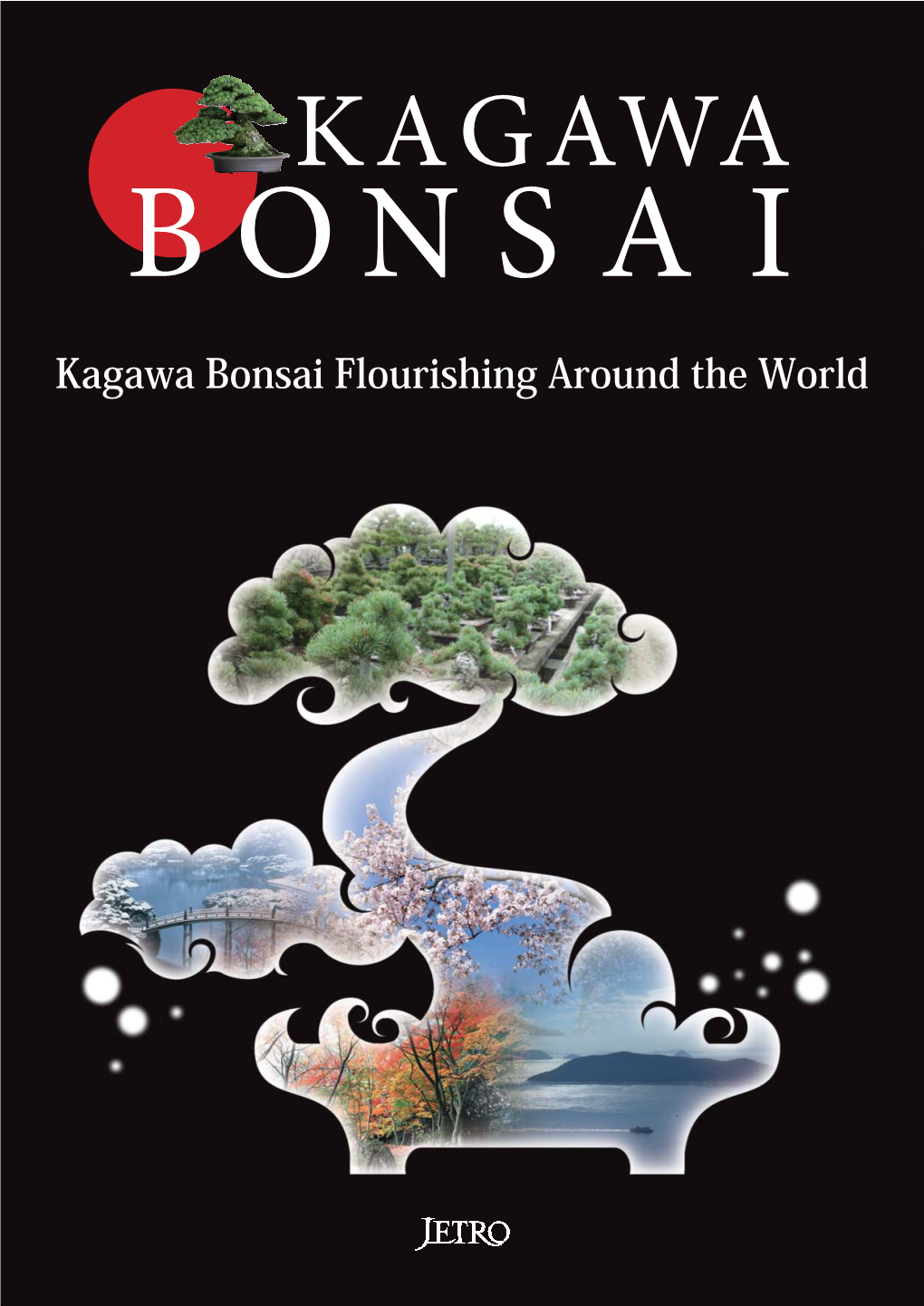 Kagawa Bonsai Flourishing Around the World