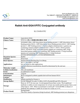 Rabbit Anti-GGA1/FITC Conjugated Antibody-SL13343R-FITC