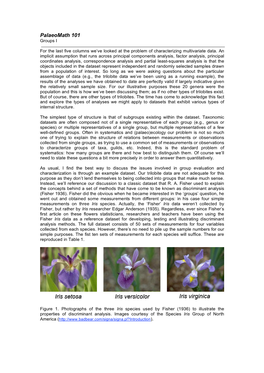 Palaeomath 101 Groups I