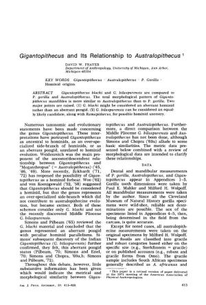 Gigantopithecus and Its Relationship to Australopithecus