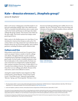 Kale—Brassica Oleracea L. (Acephala Group)1 James M