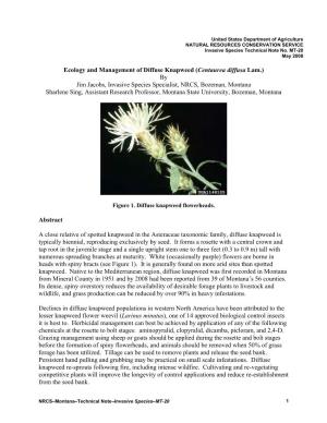 Ecology and Management of Diffuse Knapweed (Centaurea Diffusa Lam.)