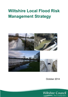 Wiltshire Local Flood Risk Management Strategy