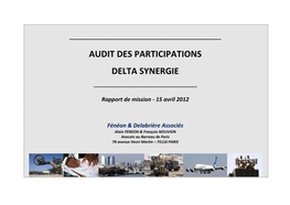 Audit Des Participations Delta Synergie
