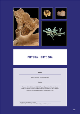 Phylum: Bryozoa