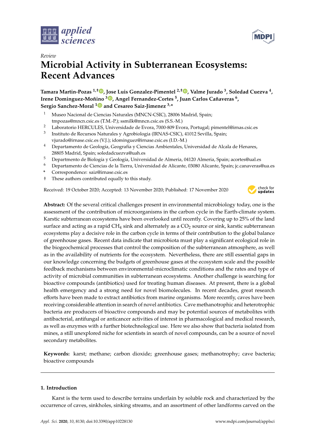 Microbial Activity in Subterranean Ecosystems: Recent Advances