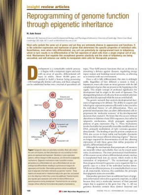 Reprogramming of Genome Function Through Epigenetic Inheritance