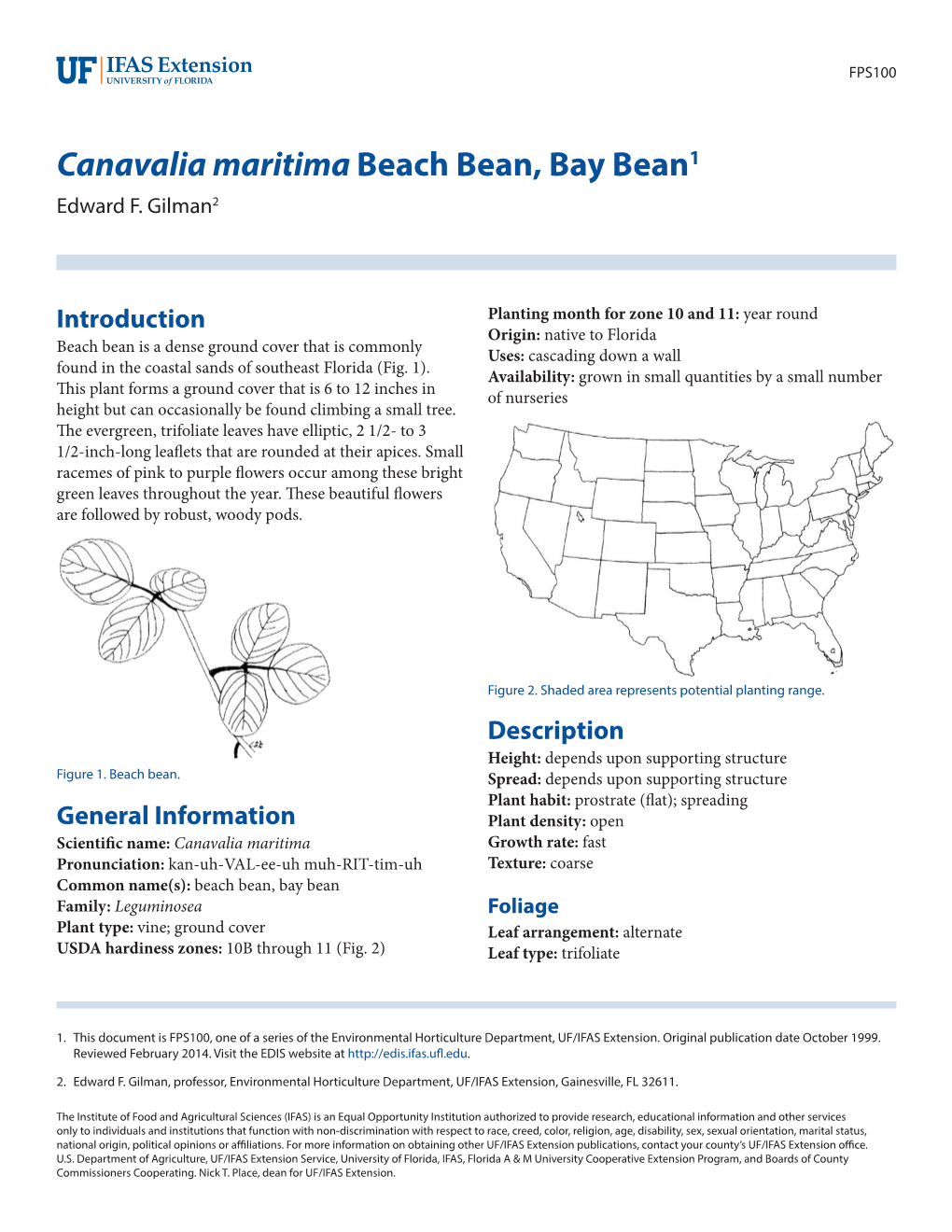 Canavalia Maritima Beach Bean, Bay Bean1 Edward F