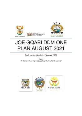 Joe Gqabi Ddm One Plan August 2021