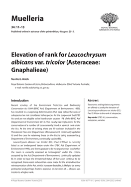Elevation of Rank for Leucochrysum Albicans Var. Tricolor (Asteraceae: Gnaphalieae)
